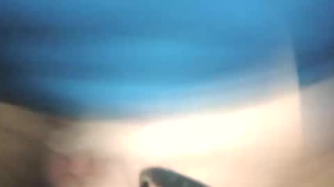 littlestick online show from 01-12-26, 08:41