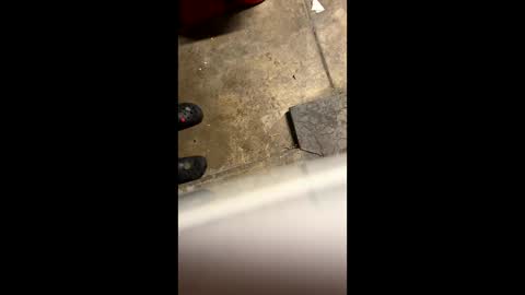 Little Tj online show from 05-25-26, 04:29