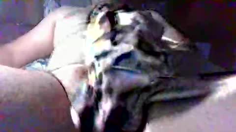 litwinpaweel online show from 10-28-25, 08:22