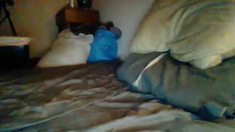 livecock89 online show from 02-05-25, 12:38