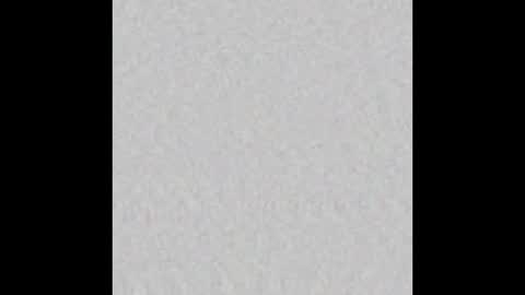 Liz  online show from 01-15-25, 09:45