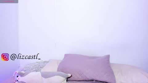 Snapshot of lizcastl chatting on 11-28-25, 10:34 lizcastl online show from 11-28-25, 10:34