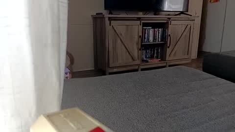 Snapshot of ljandcherry chatting on 09-11-25, 05:02 LjCherry online show from 09-11-25, 05:02