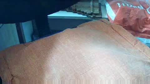 loboxavi online show from 09-19-25, 01:23