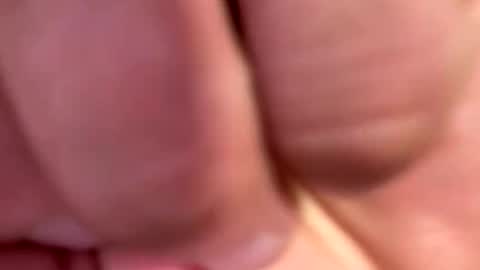 locsgunna916 online show from 06-03-26, 03:31