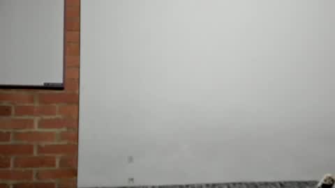 Snapshot of logannick chatting on 04-09-26, 03:06 Logan online show from 04-09-26, 03:06