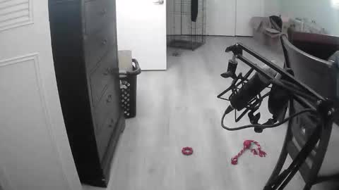 Snapshot of lohangwang69 chatting on 02-15-26, 09:44 lohangwang69 online show from 02-15-26, 09:44