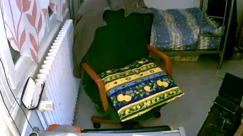 lokoum39 online show from 12-02-24, 05:15