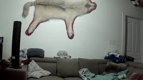 Lola Lixx online show from 10-09-25, 05:49