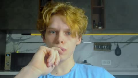 Snapshot of lolnoillimsary chatting on 04-28-26, 02:21 Nelis online show from 04-28-26, 02:21