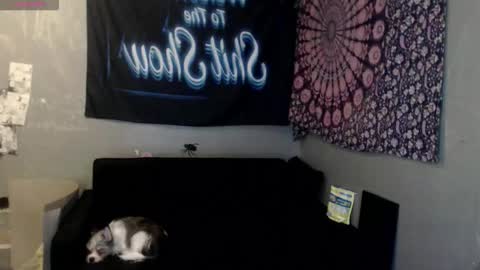 Snapshot of londonray chatting on 10-08-25, 06:11 londonray online show from 10-08-25, 06:11