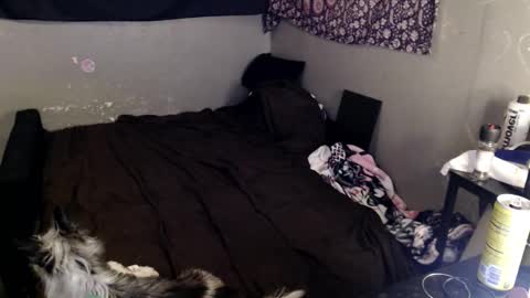 londonray online show from 03-08-26, 08:23