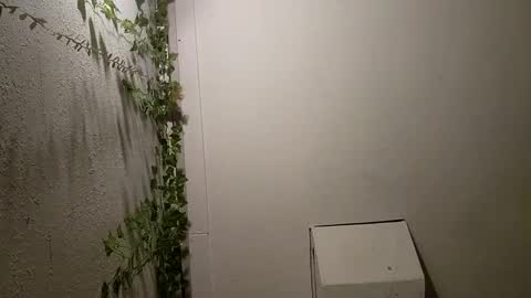 longdick3587 online show from 02-17-25, 05:14