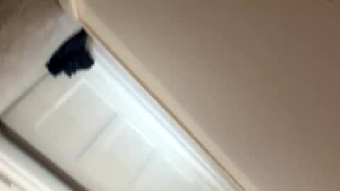 longlegs988 online show from 02-09-26, 01:37