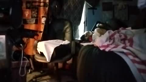 Mr. FogoDeChao online show from 03-05-26, 05:31