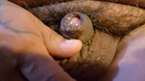 2791 3D online show from 03-19-26, 12:58