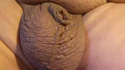Snapshot of lopezpedro2791 chatting on 04-26-26, 10:40 2791 3D online show from 04-26-26, 10:40