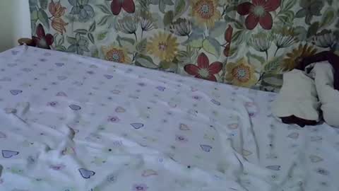 lora_amor online show from 04-30-26, 09:26