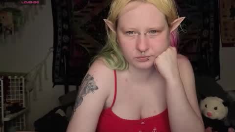 Lori Critter online show from 05-16-26, 12:07