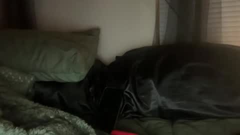 Lottiepoppie online show from 01-03-25, 11:03