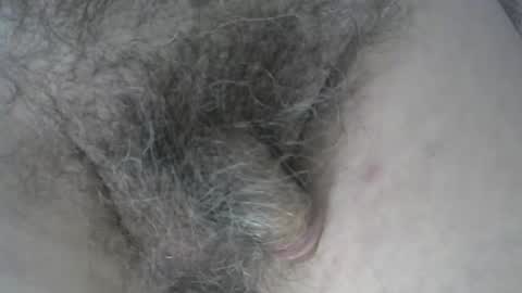 Snapshot of loveabush49 chatting on 11-05-25, 08:53 loveabush49 online show from 11-05-25, 08:53