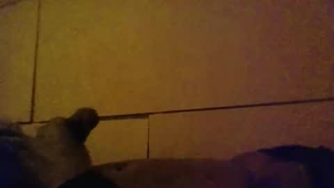 Snapshot of lovebignip chatting on 02-16-26, 05:14 lovebignip online show from 02-16-26, 05:14