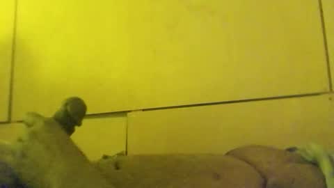 Snapshot of lovebignip chatting on 02-24-26, 11:41 lovebignip online show from 02-24-26, 11:41
