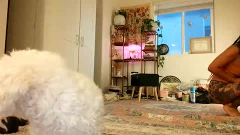 Snapshot of lovelyxmacii chatting on 05-08-26, 02:39 lovelyxmacii online show from 05-08-26, 02:39
