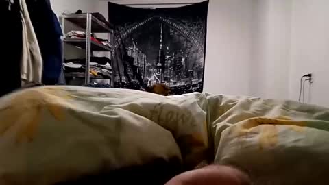 Lovetlick online show from 12-23-24, 05:28