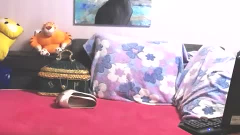 Anna online show from 10-31-25, 10:33