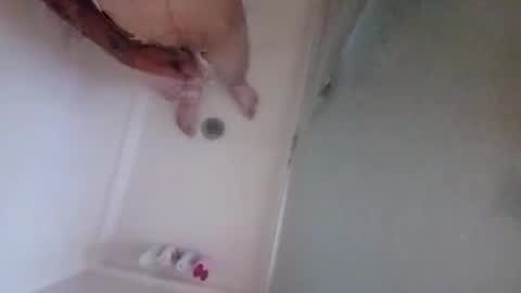 Snapshot of lovladysfeet chatting on 10-12-25, 07:35 2096512345 online show from 10-12-25, 07:35