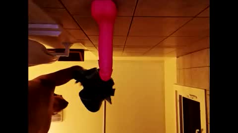 Snapshot of lowcard2389 chatting on 11-17-25, 11:21 lowcard2389 online show from 11-17-25, 11:21