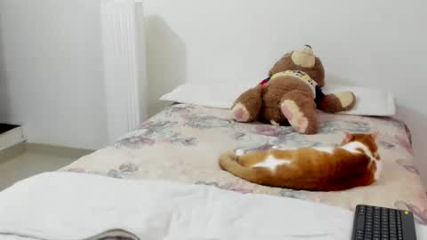 luara__01__lecat_1 online show from 02-08-26, 11:19