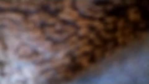 Snapshot of lubestroker4us chatting on 02-14-26, 05:32 lubestroker4us online show from 02-14-26, 05:32