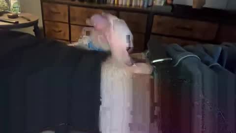 Snapshot of lubthemtitties chatting on 12-22-24, 08:49 lubthemtitties online show from 12-22-24, 08:49