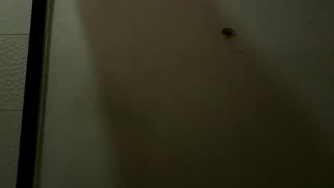 Luciana Ramirez  Sofia Collins online show from 05-09-26, 09:42