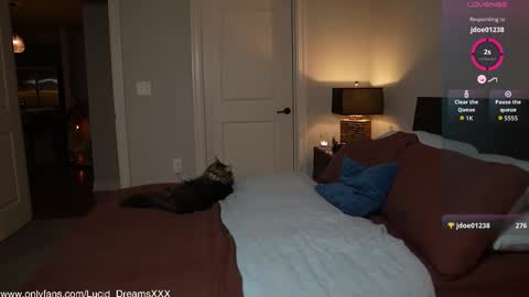 Lucid Lu online show from 10-15-25, 12:00