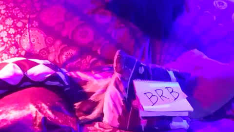 Snapshot of luckazy chatting on 01-04-25, 06:52 Lucky Eid Azy online show from 01-04-25, 06:52