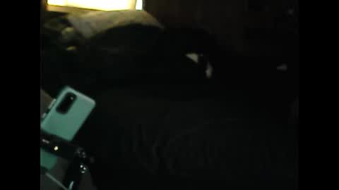 LuckyBlondeCouple online show from 12-09-24, 02:28