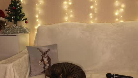 Snapshot of luckyday_ chatting on 12-25-24, 06:52 Katerina online show from 12-25-24, 06:52