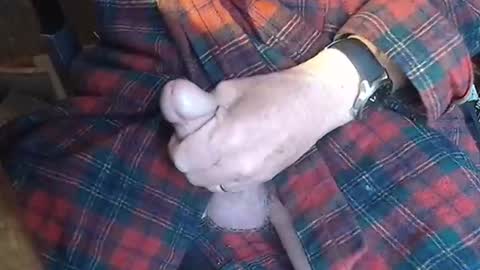 Snapshot of luckypirateboy chatting on 05-23-26, 09:24 BIG Daddy cock. Tips make it harder online show from 05-23-26, 09:24