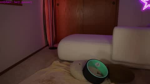 Lucy. online show from 02-03-25, 04:57