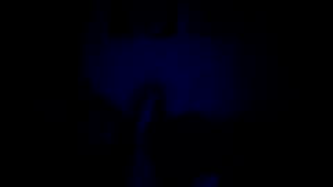 luffray online show from 02-09-26, 12:14