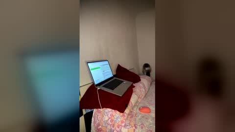 Luisa Monsters online show from 02-23-26, 11:57