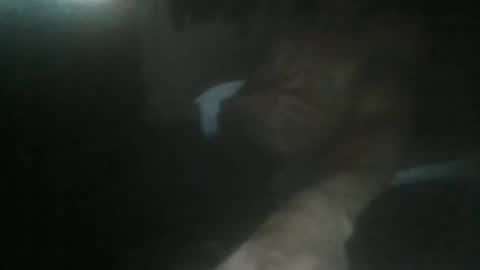 luizs23 online show from 11-05-25, 05:07