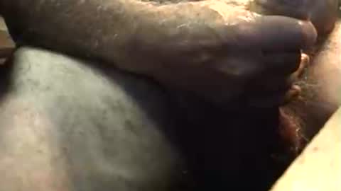 lukestarfckr online show from 10-05-25, 05:50