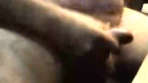 lukestarfckr online show from 11-02-25, 09:22