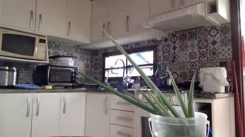 lucifer online show from 02-18-25, 04:05