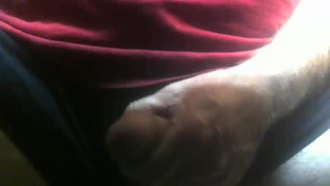 lunatica12 online show from 02-10-26, 04:27