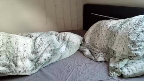 Luna  powered by bitch dust online show from 12-20-24, 11:10